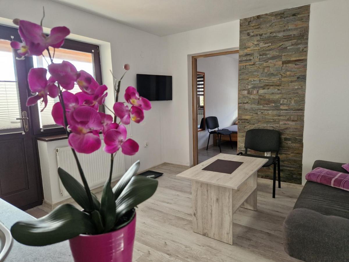 Apartamenty U Krystyny Klikuszowa Extérieur photo